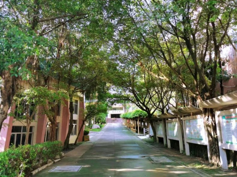 -5 广州电子商务学校有哪些-广州电子商务学校名单-广东技校排名网